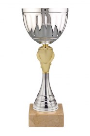 Cupe Sportive CS 51